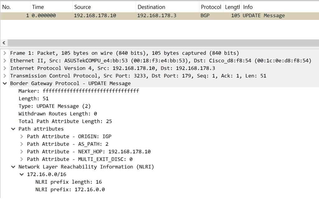 найден bgp update packet 