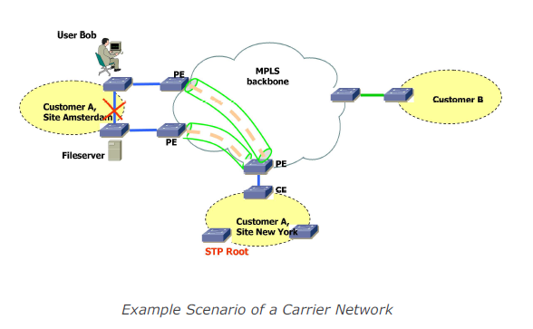 Example Scenario of a Carrier Network - MPLS Network sample