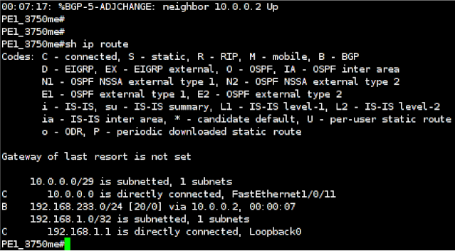 Cisco 3750's Routing Table after bgp mitm attack using Insinuator